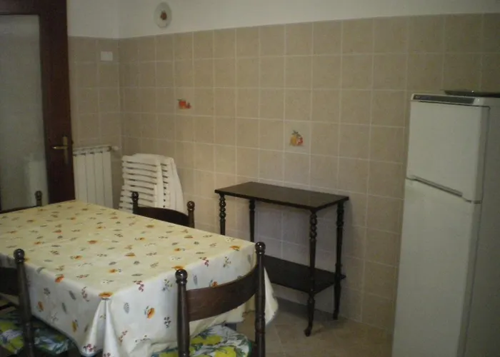 Poppy ليفانتو