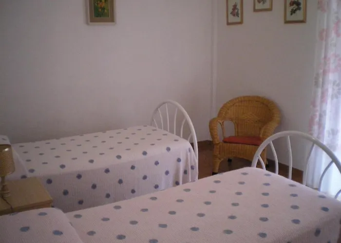 Poppy * ليفانتو